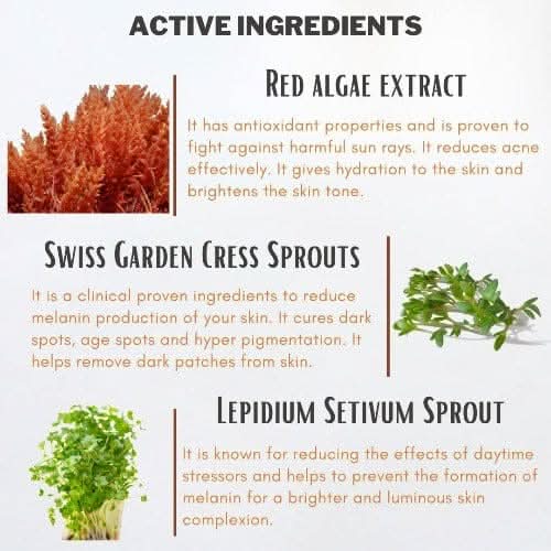 Aegte Glass Skin Broad Spectrum Sunscreen Gel SPF50++ with Anti Blue Light & Anti Pollution formula - 100ML Aegte (4382934761608)