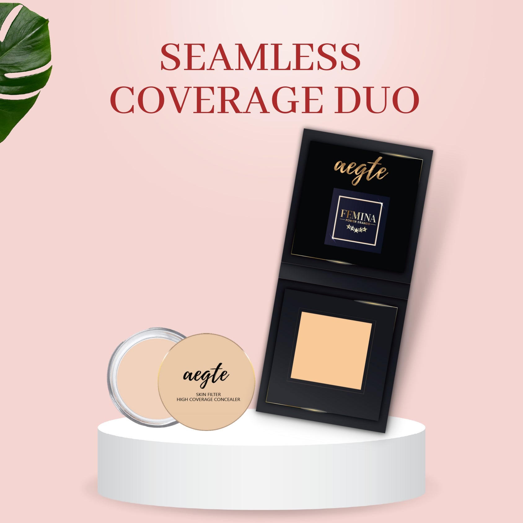 Aegte Skin Filter High Coverage Concealer & 24HR Stay 3 in 1 Dab and Fab Matte Compact Powder